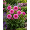 ChatGPT Image 1. 6. 2026 13 51 36