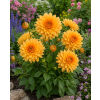 ChatGPT Image 1. 6. 2026 14 04 19