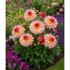ChatGPT Image 1. 6. 2026 14 06 42