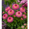 ChatGPT Image 1. 6. 2026 14 08 45