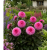 ChatGPT Image 1. 6. 2026 14 13 45