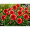 ChatGPT Image 3. 6. 2026 11 14 02