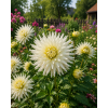 ChatGPT Image 9. 6. 2026 08 07 12
