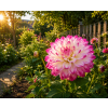 ChatGPT Image 9. 6. 2026 08 16 18