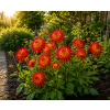ChatGPT Image 9. 6. 2026 08 21 45