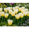 ChatGPT Image 9. 6. 2026 14 27 42