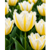 ChatGPT Image 9. 6. 2026 14 26 53