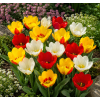 ChatGPT Image 10. 6. 2026 13 39 58