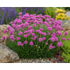 ChatGPT Image 11. 6. 2026 08 20 28