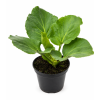 ChatGPT Image 11. 6. 2026 14 36 26