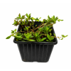 ChatGPT Image 11. 6. 2026 11 20 33