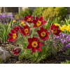 ChatGPT Image 11. 6. 2026 11 03 10