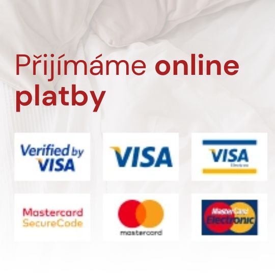 Přijímáme online platby