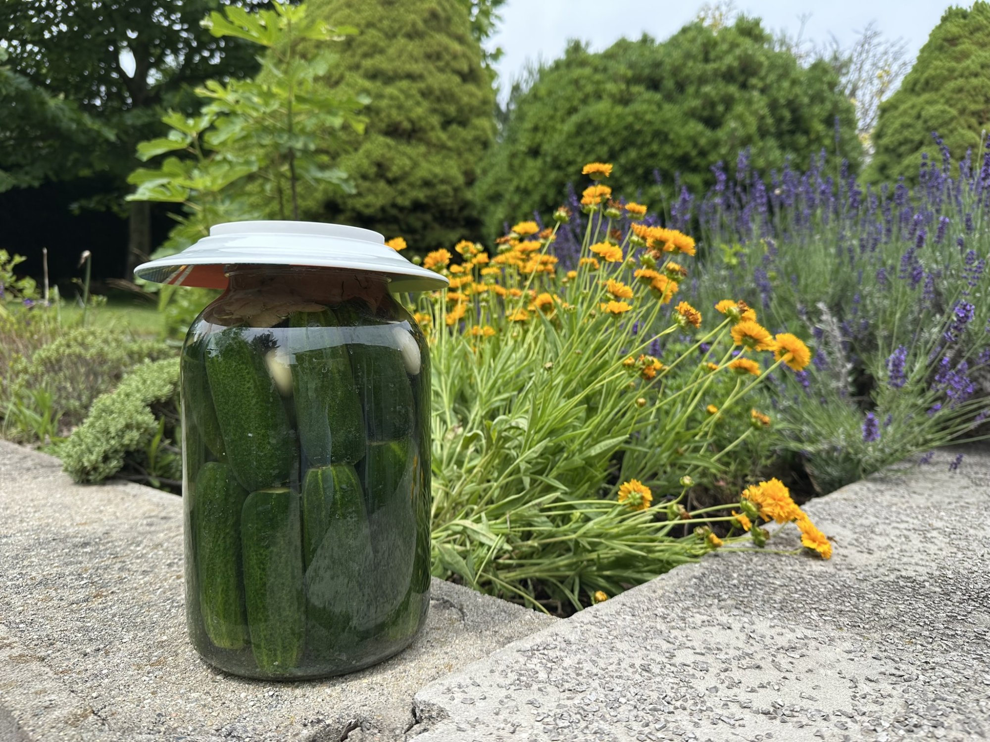 Maďarské fermentované okurky – Kovászos uborka