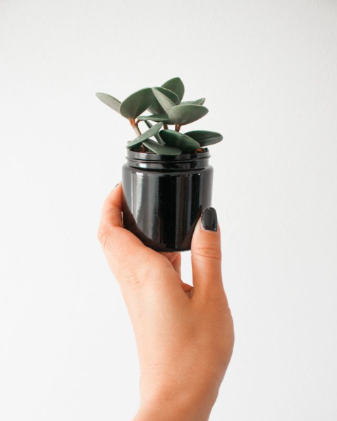 Co s prázdnou nádobou po svíčce?