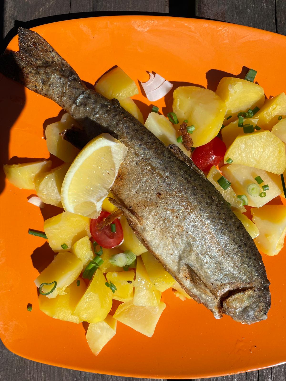 Proč je tak důležitý poměr mezi omega 6 a 3 mastnými kyselinami