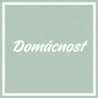 Domácnost