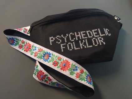 Ledvinka Psychedelic folklor