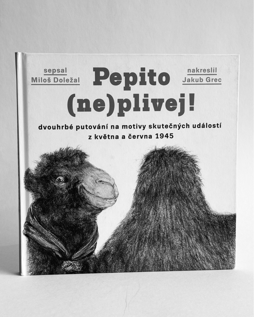 Pepito (ne) plivej!