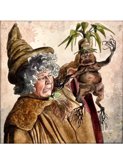 11fe4453 3537 4dac 8bb1 5c1c27196a41