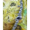 Mapa Středozemě 61x91cm
