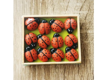 Beruška box [3057]