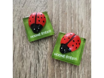 Beruška na skl. destičce, magnet [3057,03]