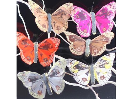 29916 motyl klip 6279
