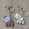 29322 klicenka slon 1719