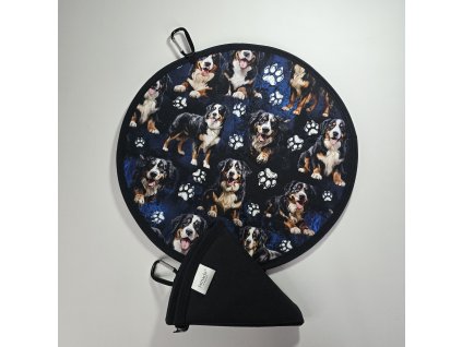 Podsedák-salašnícky pes