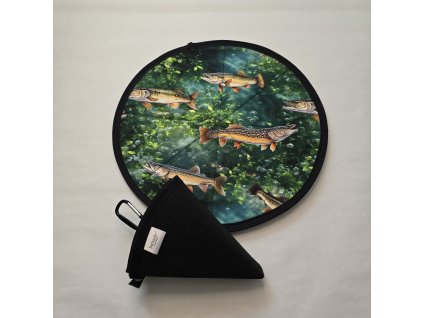 Podsedák-ryba zelená