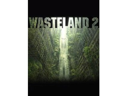 Wasteland 2: Director's Cut - Classic Edition (PC) Steam Key