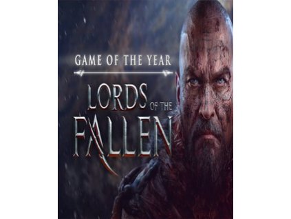 Lords of the Fallen Game of the Year Edition (PC) Steam Key