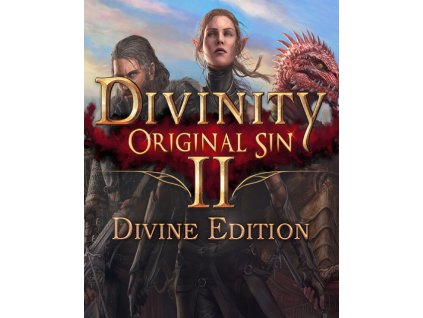 Divinity Original Sin 2 Divine Edition (PC) GOG.COM Key