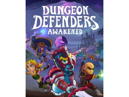 Dungeon Defenders Awakened (PC) Steam Key