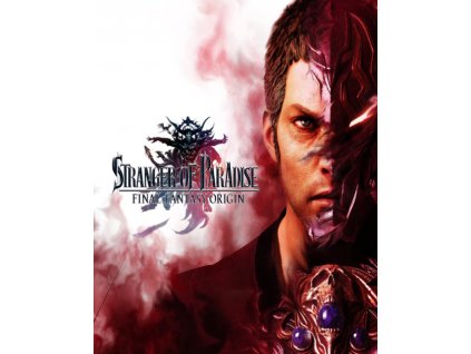 STRANGER OF PARADISE FINAL FANTASY ORIGIN (PC) Steam Key