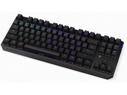 ENDORFY herná klávesnica Thock TKL Wireless Red / RGB / red sw. / bezdrôtová / mechanická / CZ/SK layout / čierna