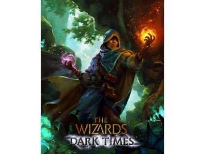 The Wizards Dark Times (PC) Steam Key