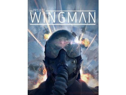 Project Wingman (PC) Steam Key