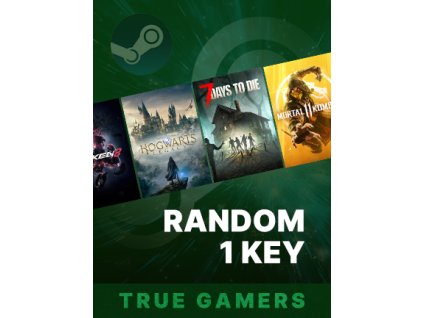 True Gamers Random 1 Key (PC) Steam Key