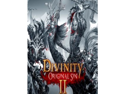 Divinity: Original Sin 2 - Eternal Edition (PC) GOG.COM Key