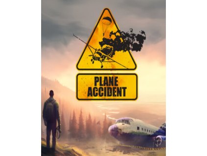 Plane Accident (PC) Steam Key