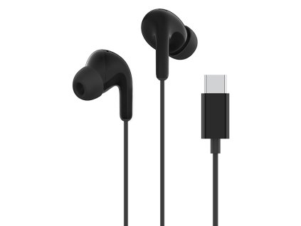 Xiaomi Type-C Earphones_Black
