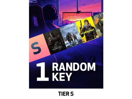 TIER S Random 1 Key (PC) Steam Key