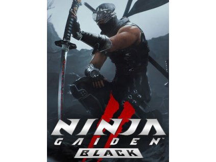 NINJA GAIDEN 2 Black (PC) Steam Key