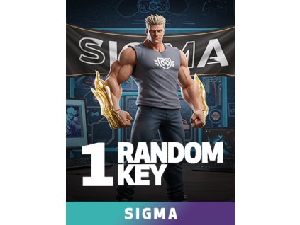 SIGMA - Random 1 Key (PC) Steam Key
