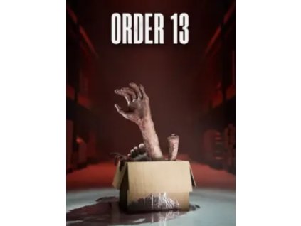 Order 13 (PC) Steam Key