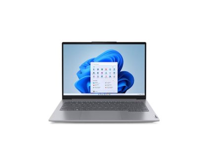 LENOVO ThinkBook/14 G7 IML/U5-125U/14''/WUXGA/16GB/512GB SSD/4C-iGPU/W11H/Gray/2R