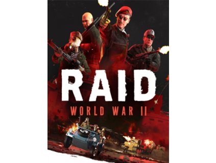 RAID: World War II (PC) Steam Key