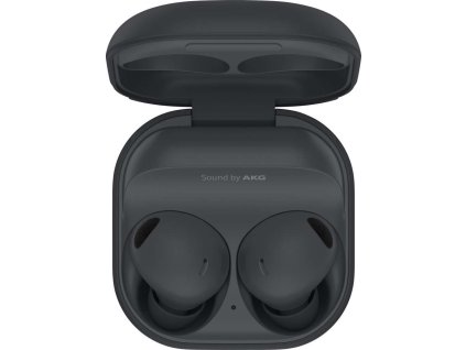 Samsung Galaxy Buds2 Pro SM-R510NZAA, Graphite